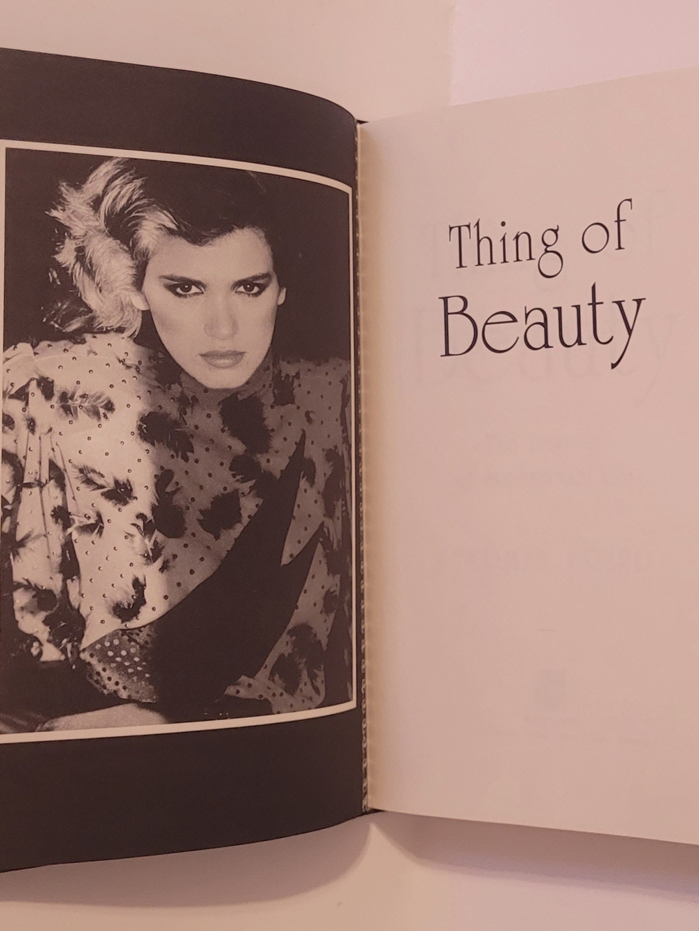 Thing of Beauty The Tragedy of Supermodel Gia Stephen Fried Hardcover Biography